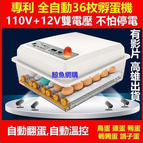 華美牌孵蛋機|華美牌 MP520多功能微電腦恆溫箱~孵蛋器~孵蛋機~。